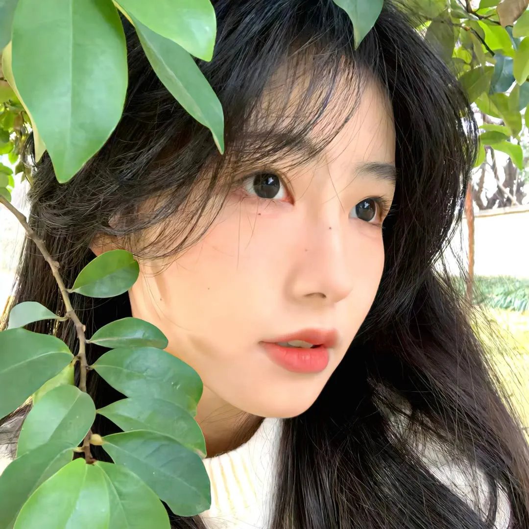 双旗镇刀客